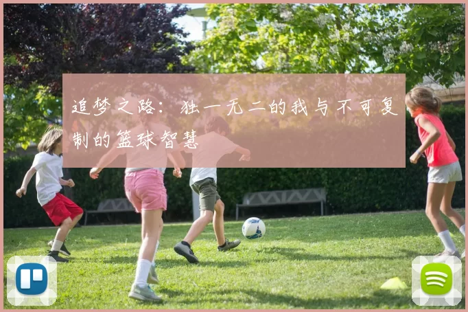 追梦之路：独一无二的我与不可复制的篮球智慧